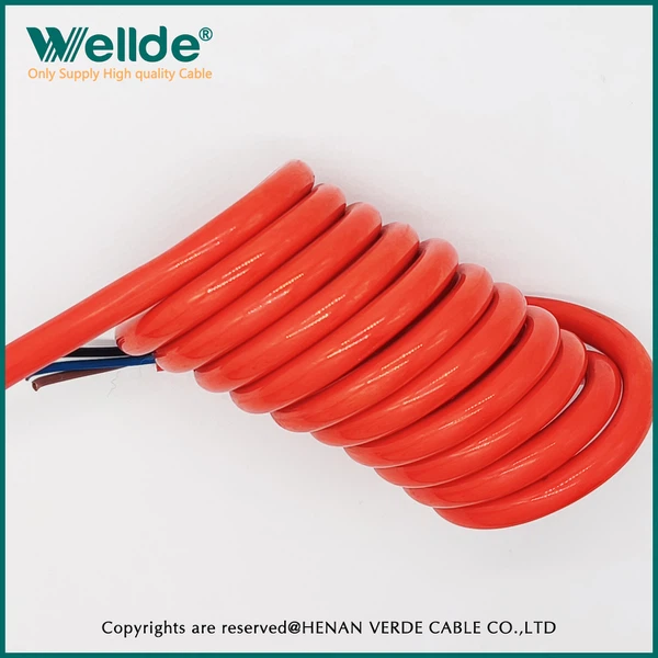 IMG20231204143303 IMG20231204143303